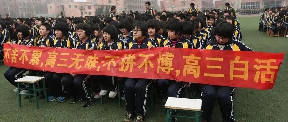 Read more about the article 做题家们的悲歌（二）：生理与心理的终身缺陷