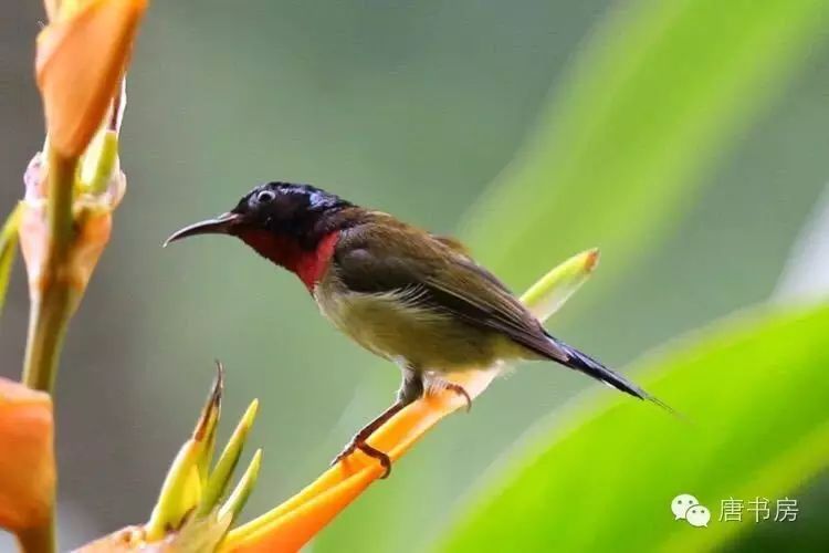Read more about the article 看不懂与看得懂