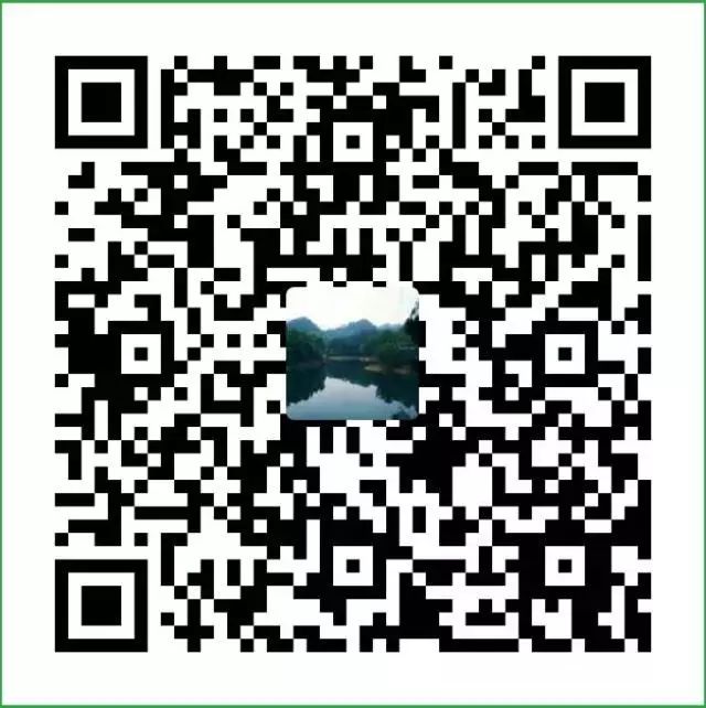 散打投资5