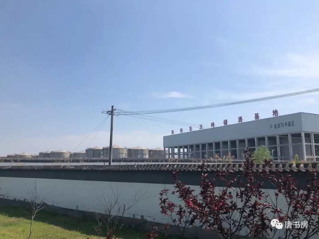 主要白酒企业点评2019版之②——洋河