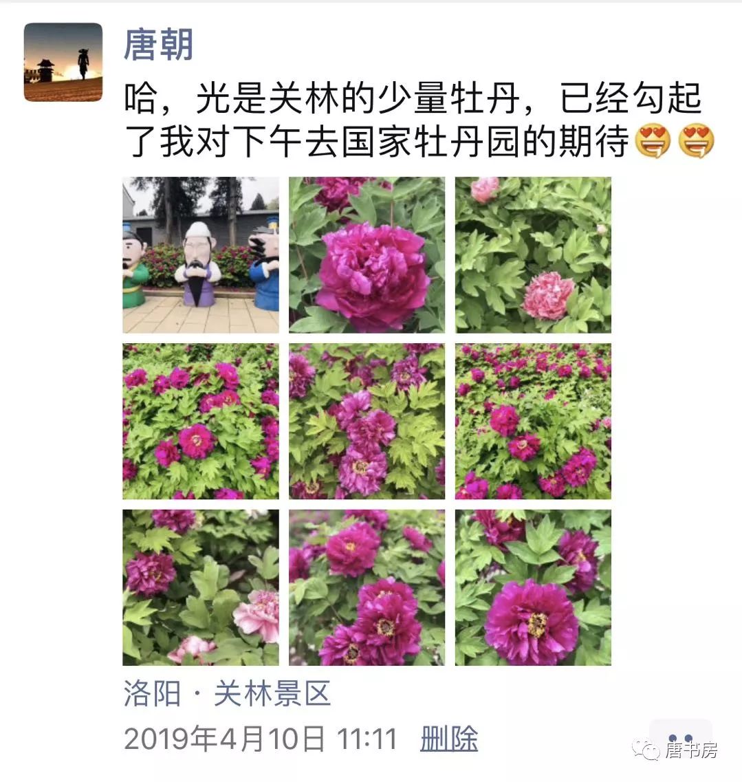 河南印象（下）
