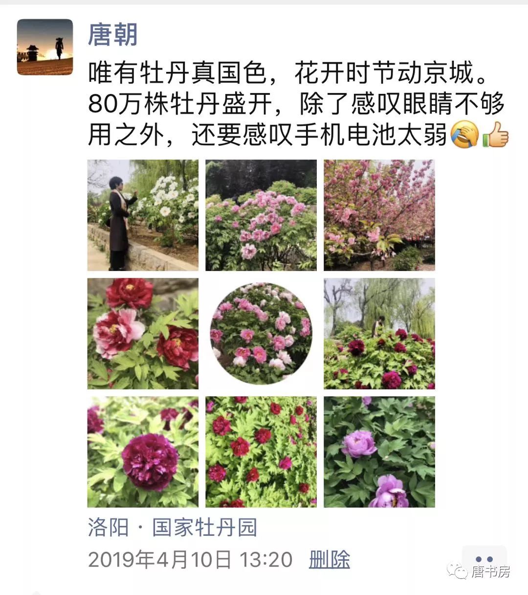 河南印象（下）