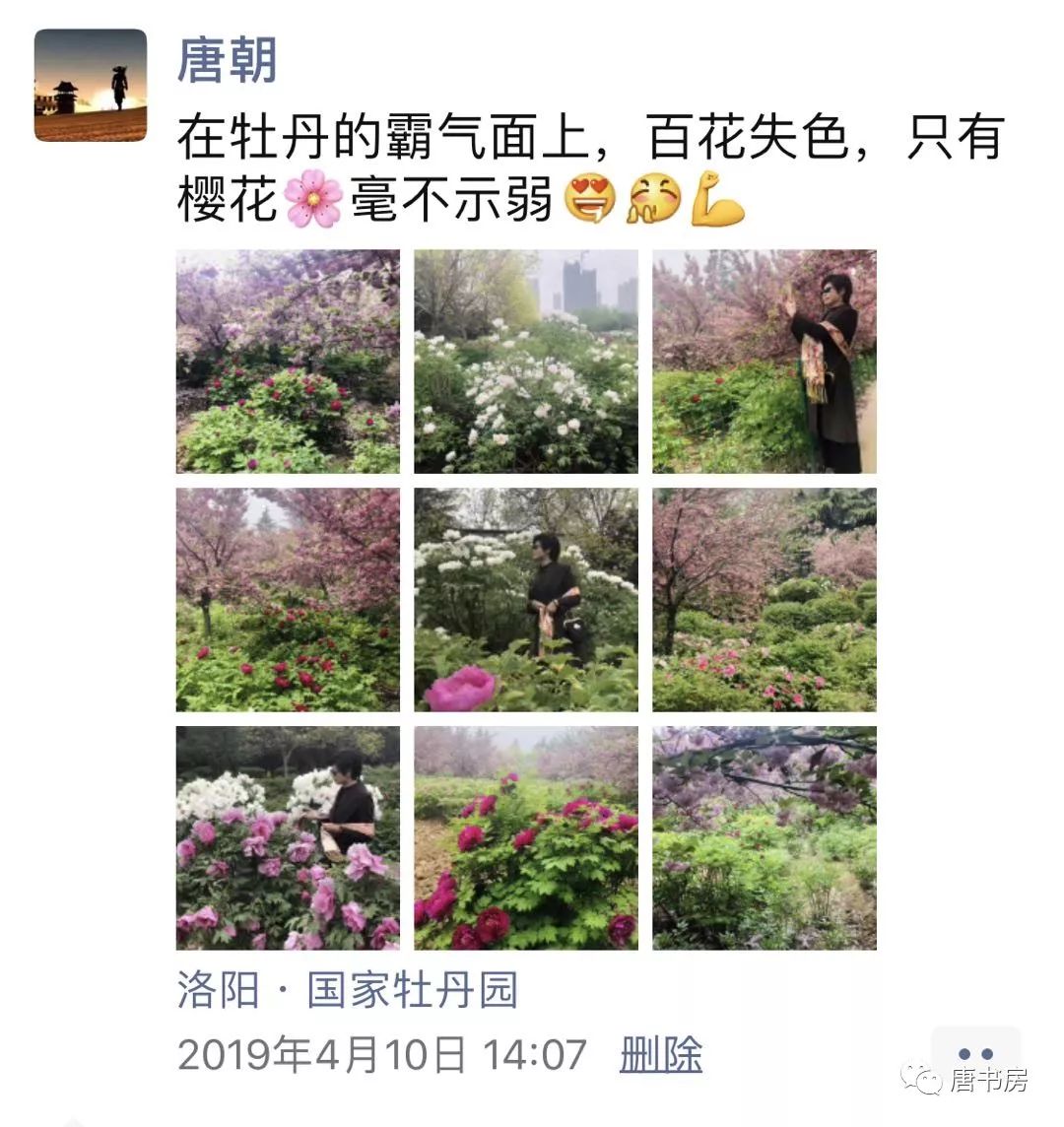 河南印象（下）