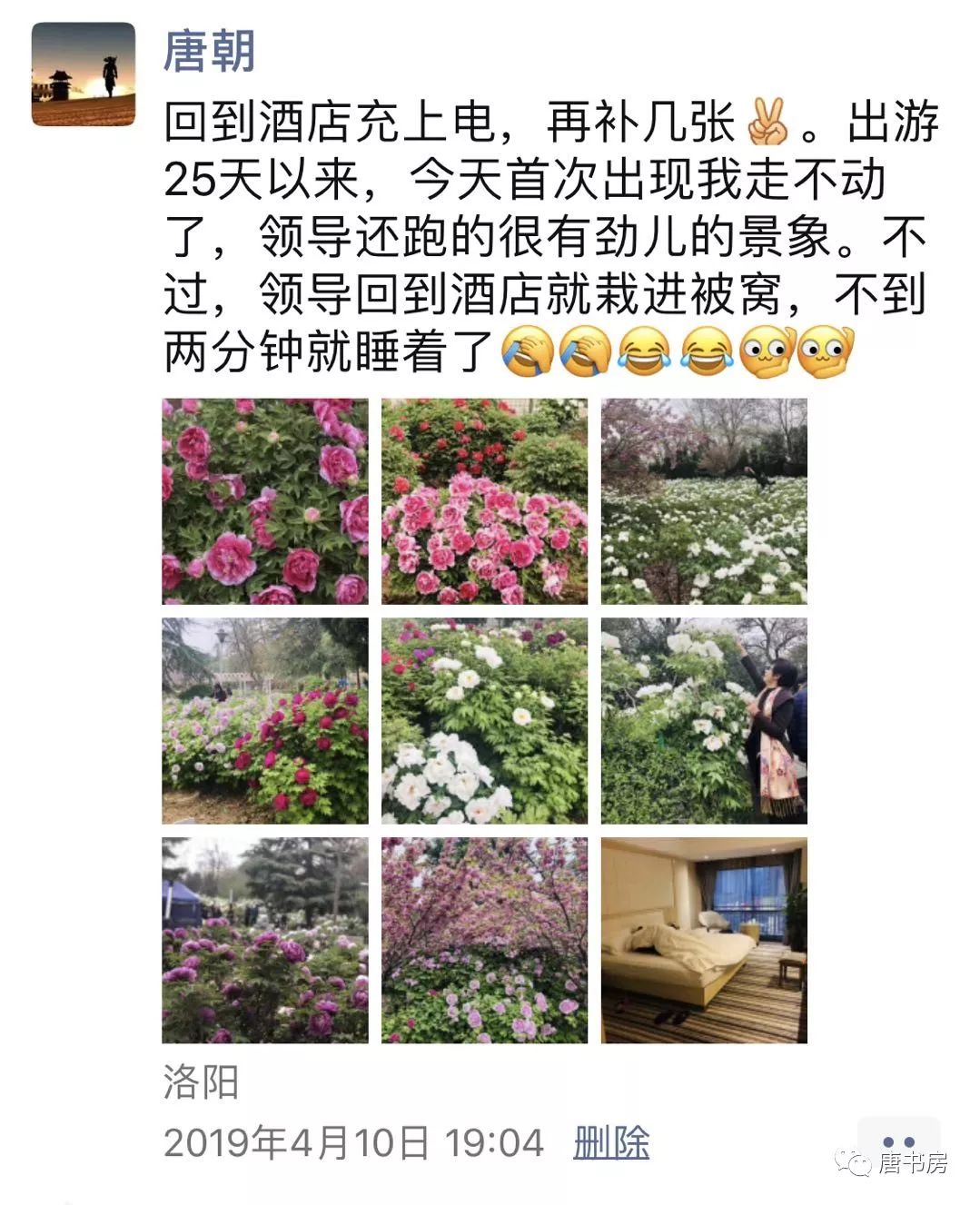 河南印象（下）